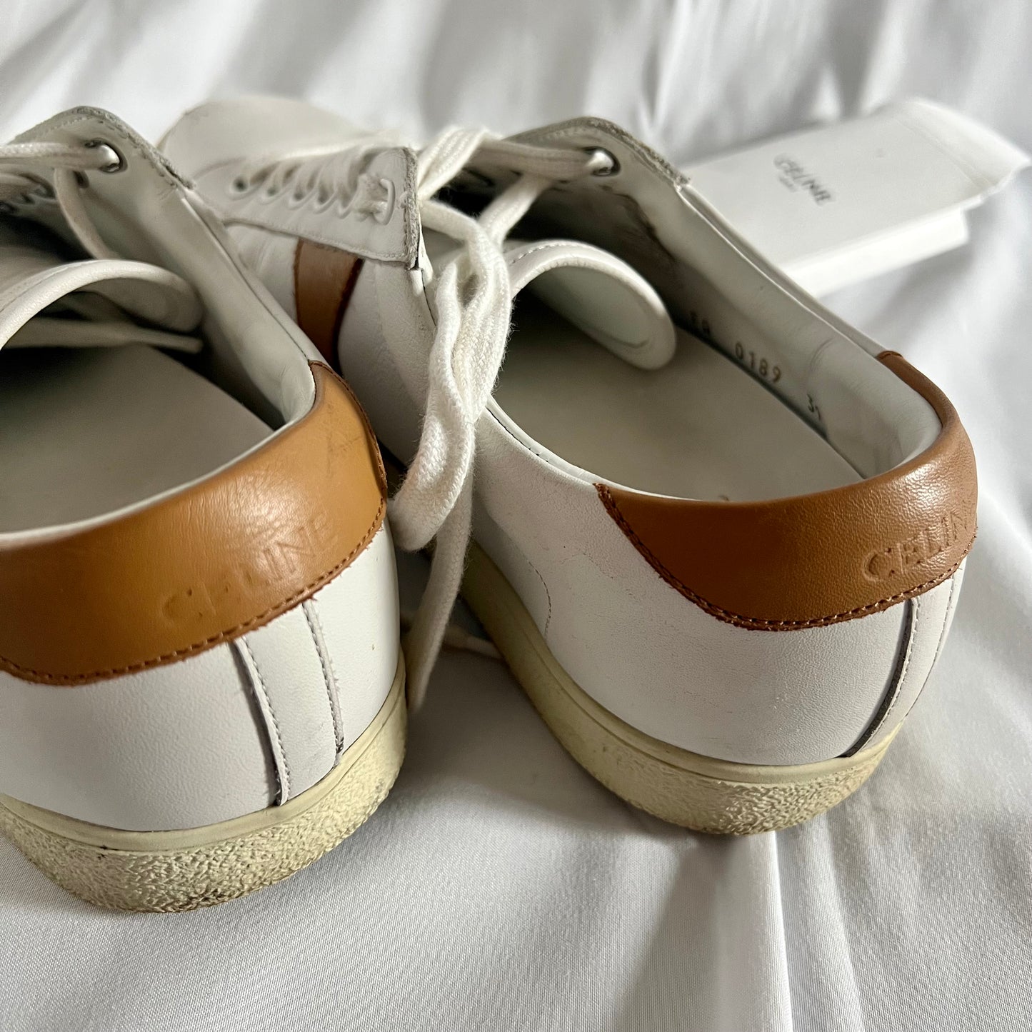 Celine Triomphe Low Lace Up Sneaker in Calfskin