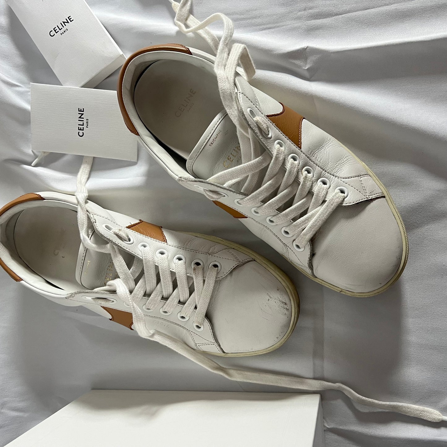 Celine Triomphe Low Lace Up Sneaker in Calfskin